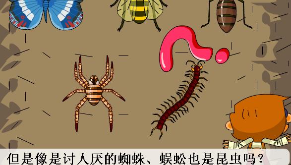 昆虫小百科