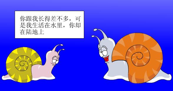 按脚分类