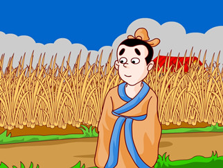 不懂装懂