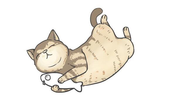 a fat cat
