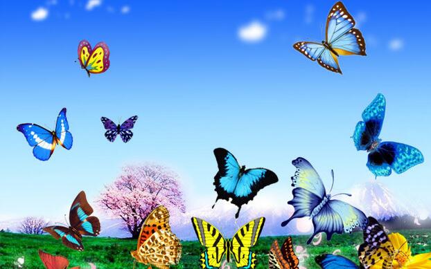 Fly The Butterfly