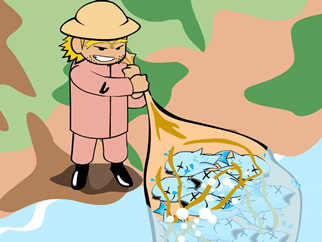 混水摸鱼