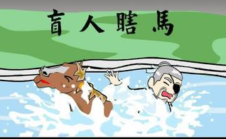 盲人瞎马