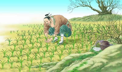 揠苗助长