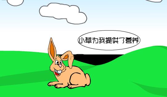 吃的关系