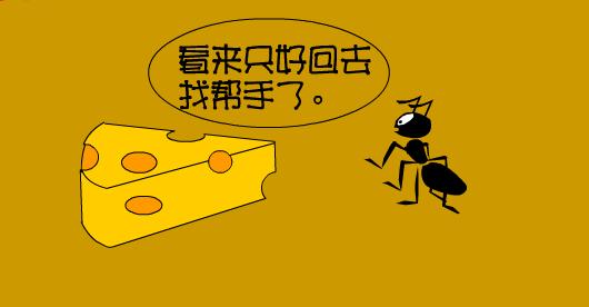 动物的语言