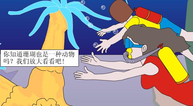 海蜇是什么动物