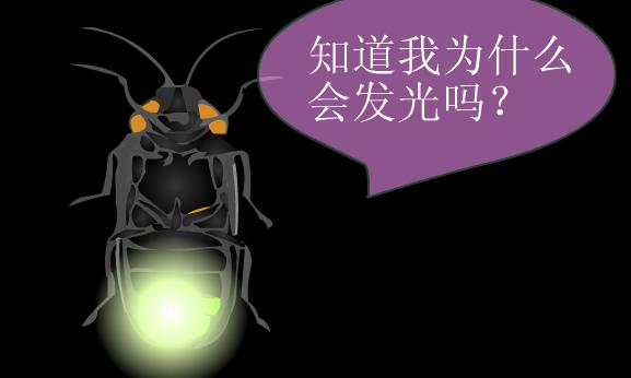 会发光的生物