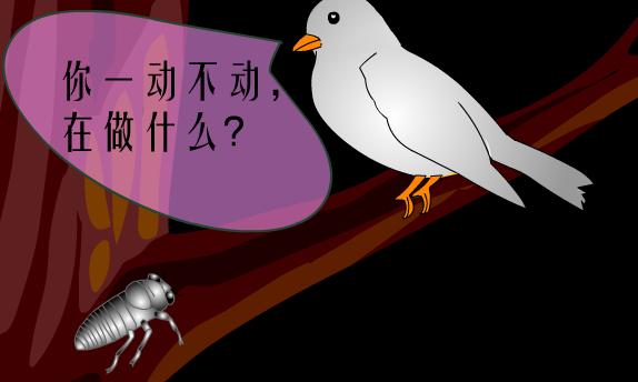 金蝉脱壳