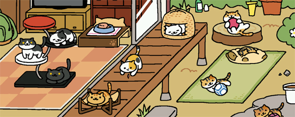 可爱猫眯外星探险
