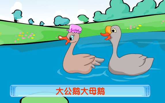 灰鹅