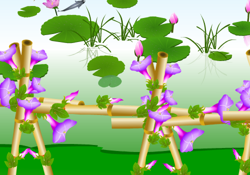 牵牛花