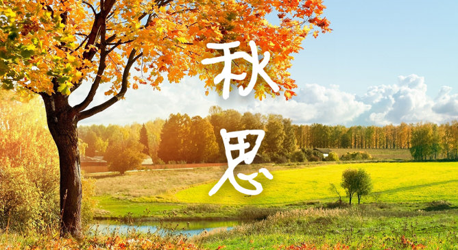 秋思 张籍视频