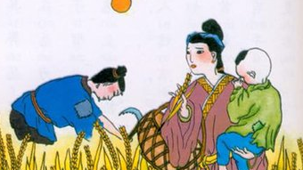 观刈麦朗读视频