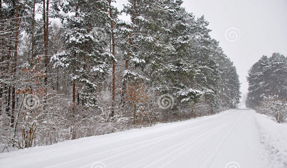 路雪狂抛