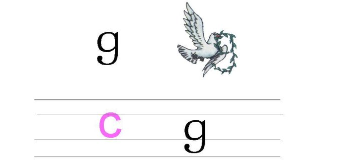 g