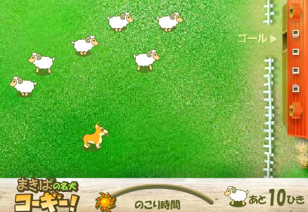 狗狗赶绵羊