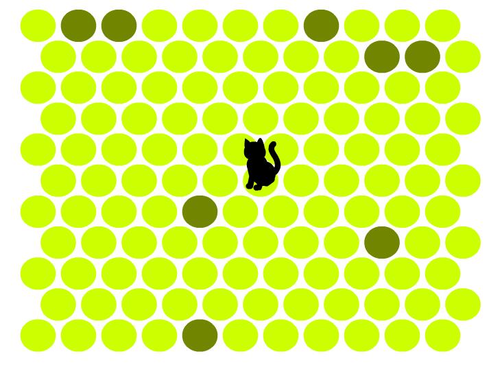 困住黑猫