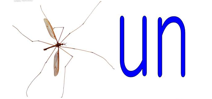 19.前鼻韵母：un