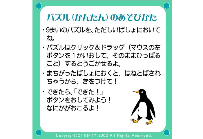 海滩企鹅