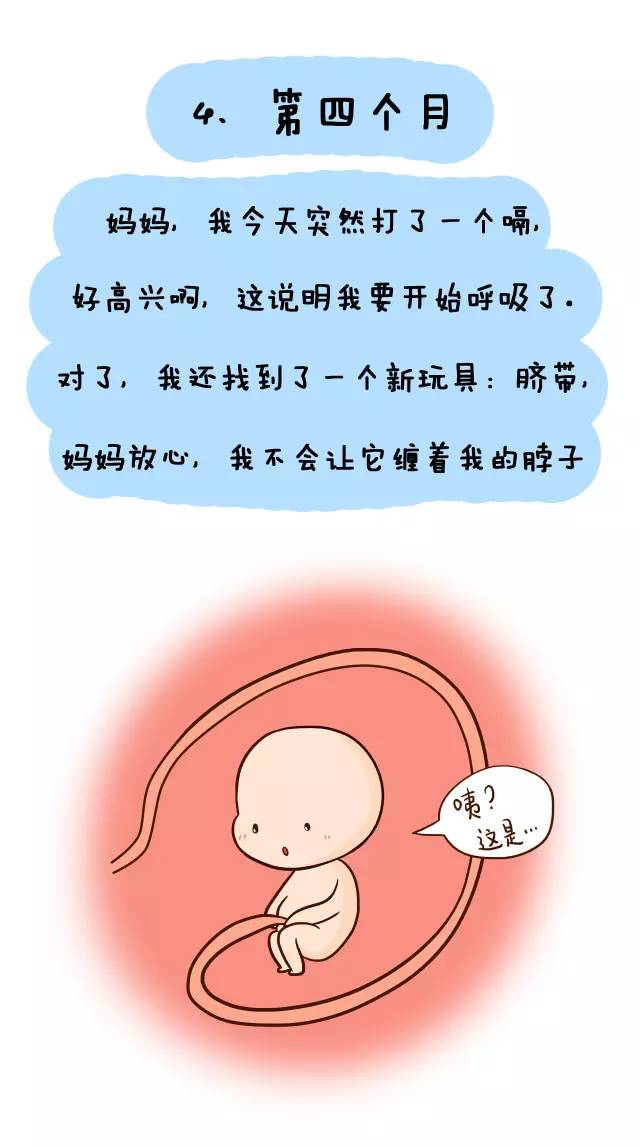 怀孕肚子变大的过程图图片