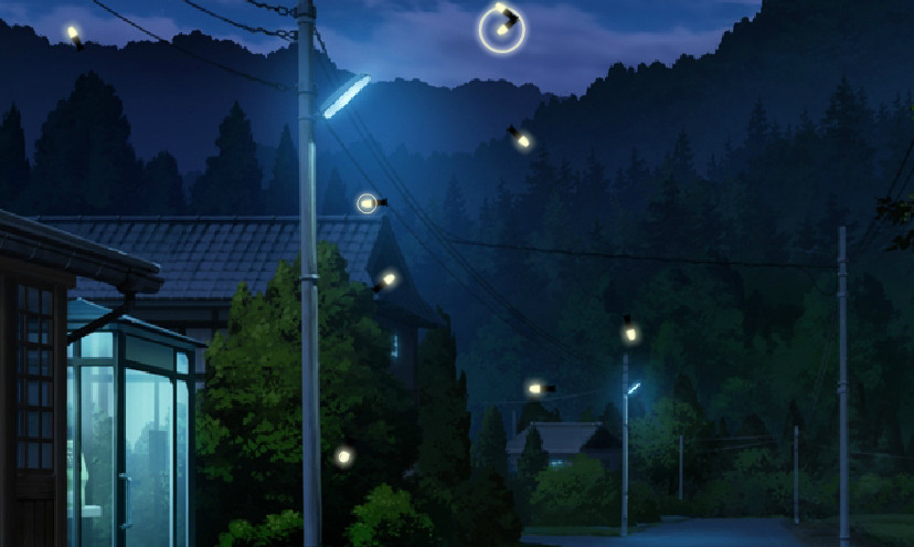 萤火虫
