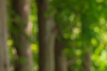 肠炎吃什么食物2