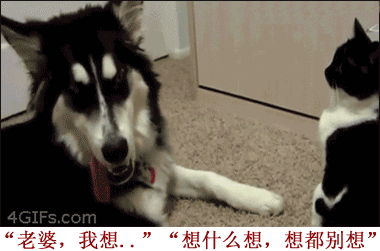 据说男人们婚后都是这样的... 卧槽，简直生动形象