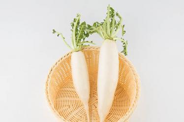 菟丝子的功效与作用