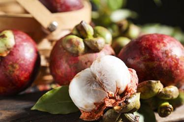 肚子疼吃什么药5