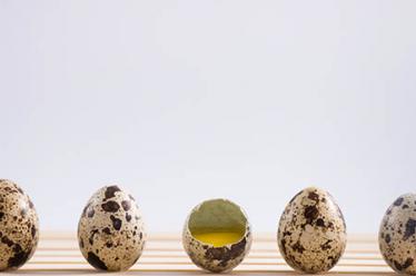 a2奶粉3段冲泡比例