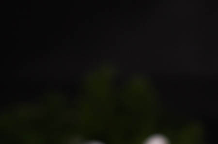 强盗新郎的故事1