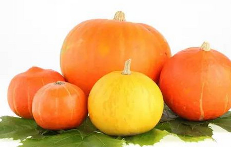 秋季的7种食材，保护孩子肠胃健康！