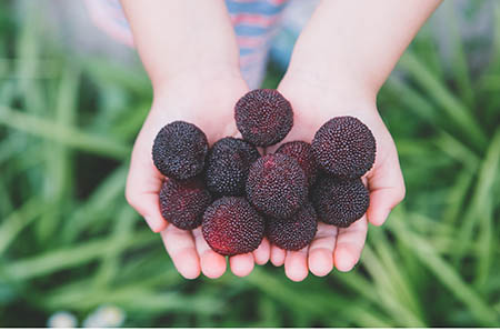 母鸡与老人的故事1