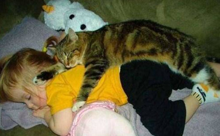 猫咪哄宝宝睡觉的过程被主人拍到，萌翻网友！