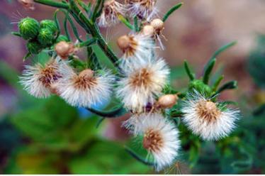 赵姓宝宝带琦字的名字2