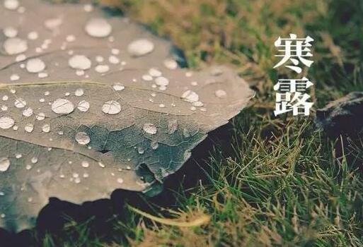 宝宝寒露喝什么汤