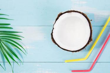 家猪与野猪的故事1