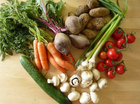 秋季食补维生素正当时，让孩子多吃蔬菜的妙招