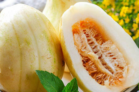 海马壮阳药酒配方大全