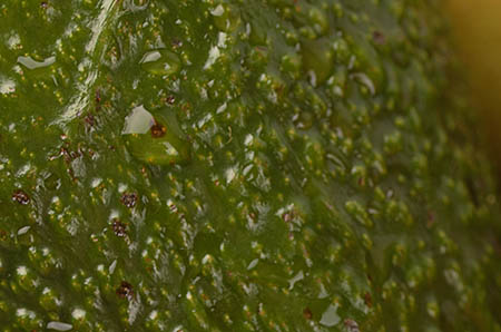 乌龟和大象的故事1