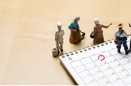 粉粉兔捉星星的故事1