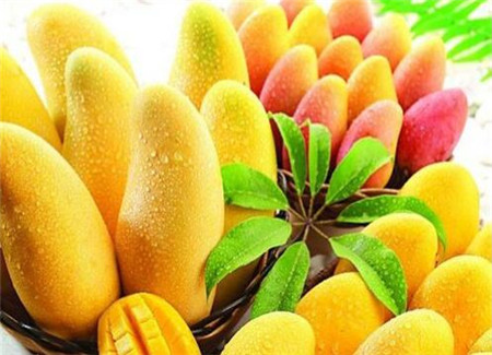 月经期间能吃芒果吗