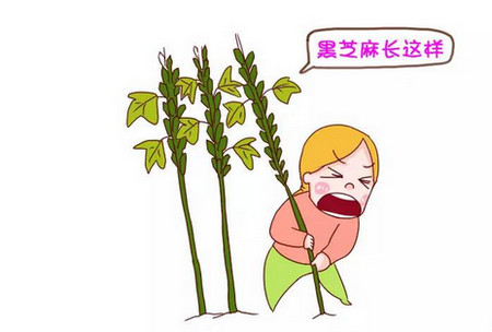 宝宝成长 | 想要宝宝壮壮哒，这些下奶食物不可少