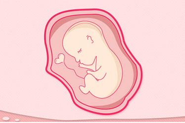 孕19周胎教故事6