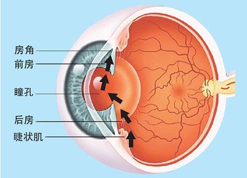 眼压高怎么缓解 缓解眼压高的方法 眼压高如何快速缓解 亲亲宝贝网