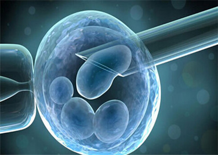 胚胎停止发育的症状