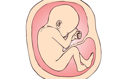 36周胎兒雙頂徑標準