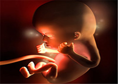 三個月胎兒圖