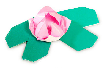 睡莲折纸方法图解